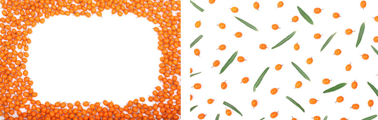 Sea buckthorn. Frame of ripe fresh berries isolated on white background with copy space for your...