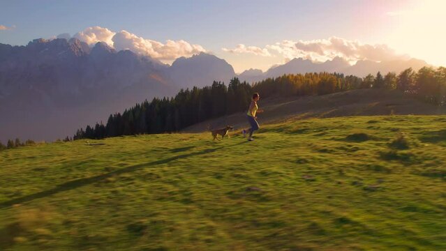AERIAL: Woman jogging with her dog on top of alpine meadow hill in golden sunset. She and her cute doggo run fast along a grassy ridge with a stunning mountain backdrop on a picturesque autumn day.
