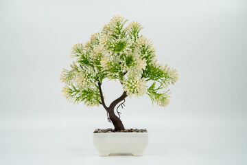 White artificial miniature bonsai trees isolated on white background
