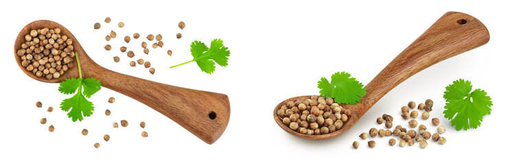 Dried coriander seeds in the wooden spoon with fresh green leaf isolated on white background. Top view. Flat lay