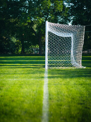 soccer football field © Elninho