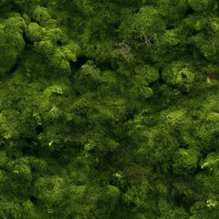 Moss Creative Abstract Photorealistic Texture. Screen Wallpaper. Digiral Art. Abstract Bright Surface Square Background. Ai Generated Vibrant Texture Pattern.