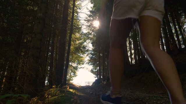 LENS FLARE, LOW ANGLE VIEW: Woman walking with the dog along a shady forest path on a sunny autumn day. Warm sunbeams shine through lush spruce treetops as they hike uphill towards the alpine peak.