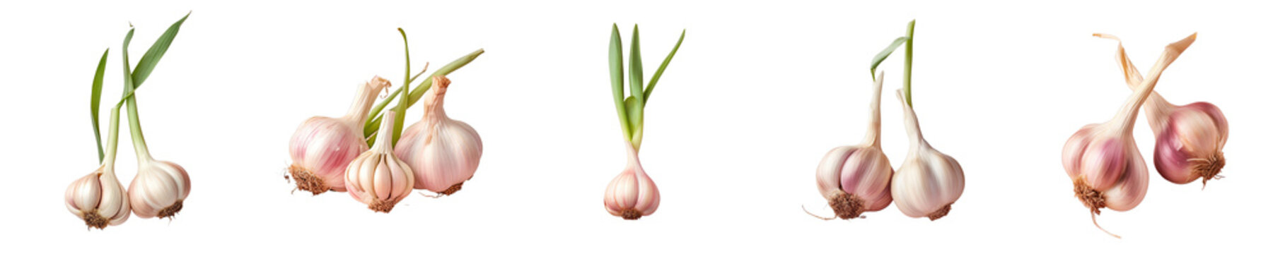 Png Set transparent background with garlic isolated