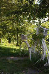 White bicycle is stylized as a flower bed with plants. A decorative bicycle with leaves and flowers stands on the lawn in the park