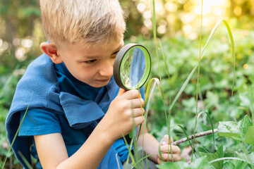 Child exploring nature forrest looking through magnifiying glass