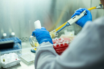 cell culture media