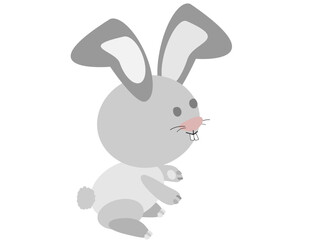 Chinese zodiac/ Rabbit 