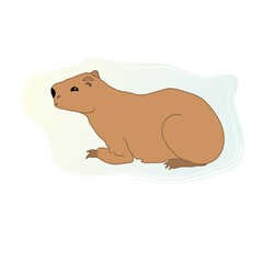capybara brown illustration of a cartoon rat
