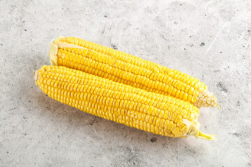 Sweet yellow raw corn cob