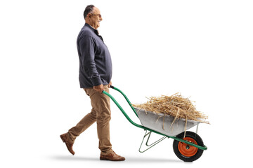 Full length profile shot of a mature man pushing a wheelbarrow with hay