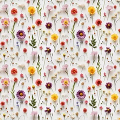 Fototapeten wild flower seamless pattern. summer meadow flowers on white background. © Olesia Bilkei