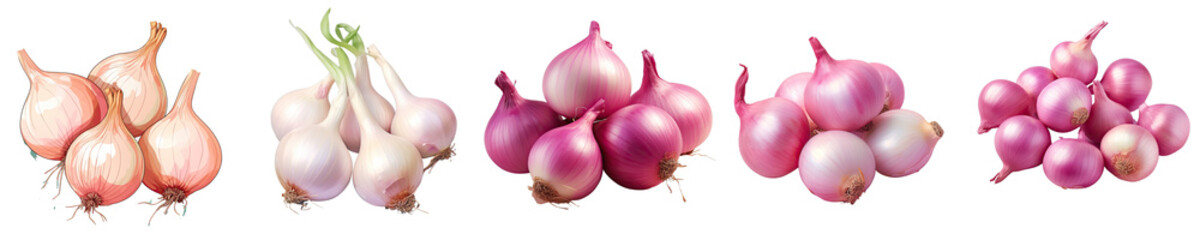 Png Set Tender onions on transparent background