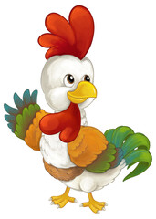 Cartoon funny farm bird chicken rooster isolated illustration for children