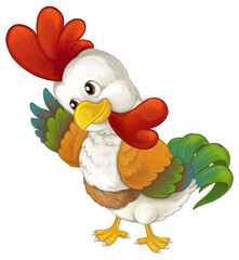 Cartoon funny farm bird chicken rooster isolated illustration for children
