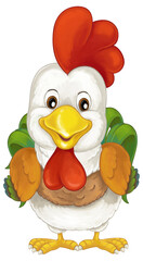 Cartoon funny farm bird chicken rooster isolated illustration for children