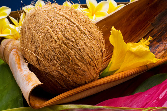 Studio Shot Of A Coconut With Flowers.