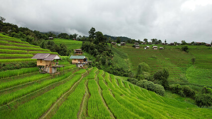 Naklejka premium Aerial view of terrace rice farm or green rice terrace field at Mae-Jam Village, Chiang Mai Province, Thailand