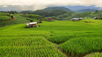 Fototapeta na wymiar Aerial view of terrace rice farm or green rice terrace field at Mae-Jam Village, Chiang Mai Province, Thailand