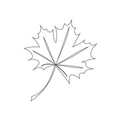 One line drawing of an autumn leaf. Autumn script font and leaves isolated on a white background vector illustration.
