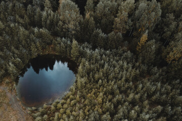 Small pond among tall conifers in the Jizera Mountains, a view from the drone (selective focus