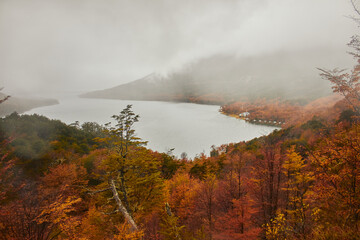 Lake in an autumn forest