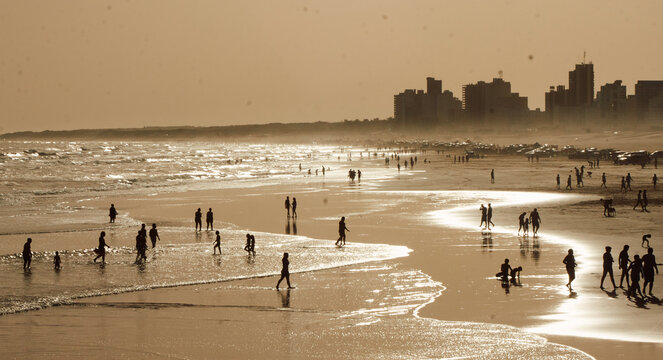 People on the beach at sunset