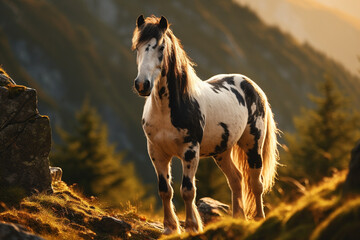 Cavalo malhado na montanha lendária - Papel de parede  - obrazy, fototapety, plakaty