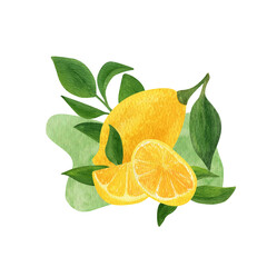 Lemon fruit watercolor print. Illustration of lemon with green leaves and slices fruit.
