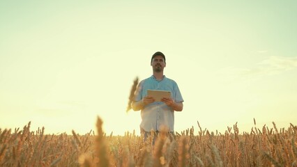 Farmer, businessman working on field with digital tablet, agriculture. Farmer with computer tablet evaluates wheat sprouts in field, sunset. Ecologically clean grain. Technology, agriculture business