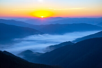 Morning dense fog in the mountainous forest area of ​​the Ukrainian Carpathians. Landscape in...