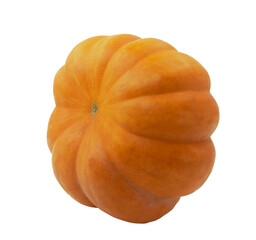 Pumpkin Season. Autumn pumpkin season. Modern design elements. Seasonal celebration. transparent,png