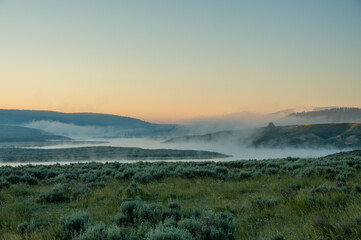 Clear Field At The Edge Of The Fog Coverd Yellowstone River