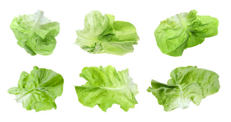 Set with leaves of butter lettuce isolated on white