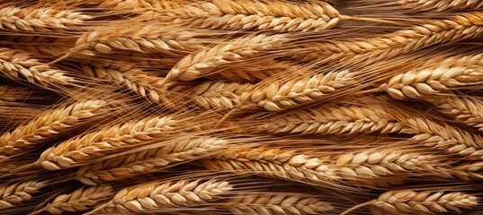 Closeup wheat texture background. Generative AI - obrazy, fototapety, plakaty