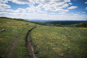 Fototapeta na wymiar Trail on top of grassy green meadow overlooking lake in Mancos State Park in southern Colorado in summer