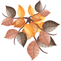 autumn leaves background