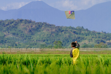 Kid play Kite in ricefield in afternoon (Anak bermain Layangan di sawah di sore hari) 