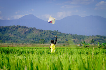 Kid play Kite in ricefield in afternoon (Anak bermain Layangan di sawah di sore hari) 