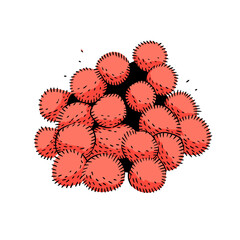 Pom poms vector icon in minimalistic, black and red line work, japan web