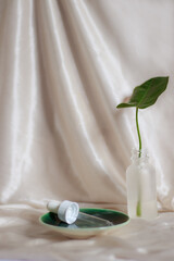 A green leaf in a glass dropper bottle showing concept of an eco friendly and sustainable self care, beauty and hygiene product for clean living