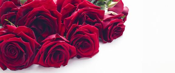 Naklejka premium red rose bouquet on a white background Flowers representing love