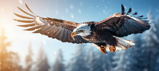 Meubelstickers Bald eagle flying at winter. Generative AI technology. © Hero Design