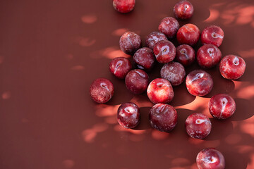 plum crop on the garden table