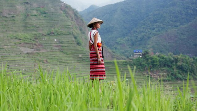 Graceful Woman Adorned In A Traditional Dress
