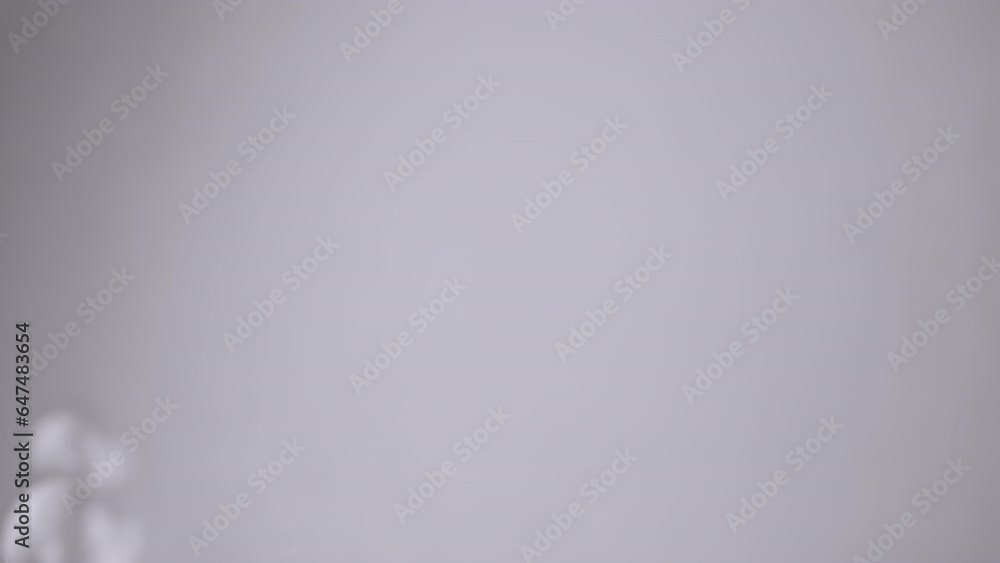Poster group white soap bubbles moving on a gray background in empty space. close up. blowing large, small 