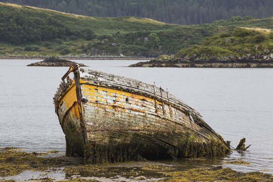 Abandoned Wooden Boat Sinking In The Water; Ardfern, Scotland
