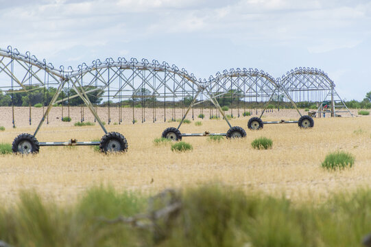 Irrigation System On A Farm; Cape Town, Western Cape, South Africa