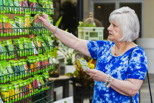 Mature Woman Shopping For Garden Seeds In A Garden Centre In A Shopping Complex; St. Albert, Alberta, Canada