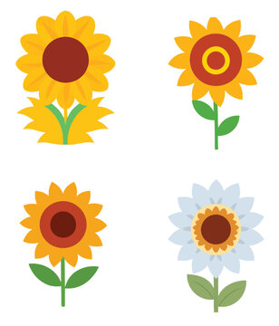 Set of vector illustrator yellow sunflower, flower cartoon icon, flat 2d nature icon.
